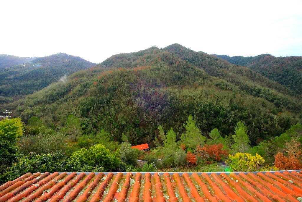 La Favorita Apricale B&B & Ristorante Rum bild